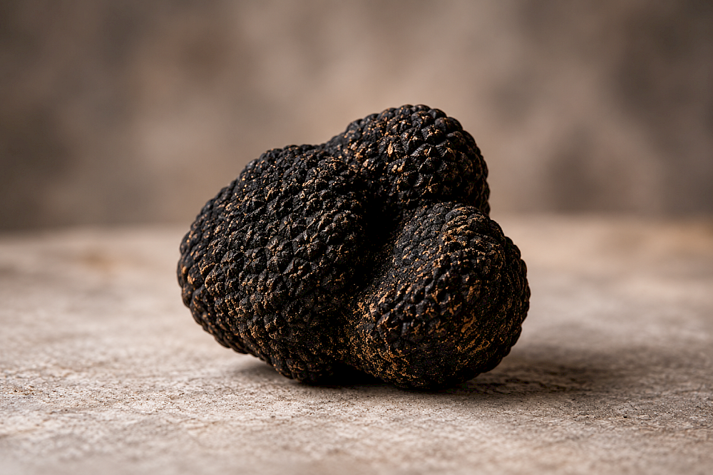 Truffe noire du Valais 32 g