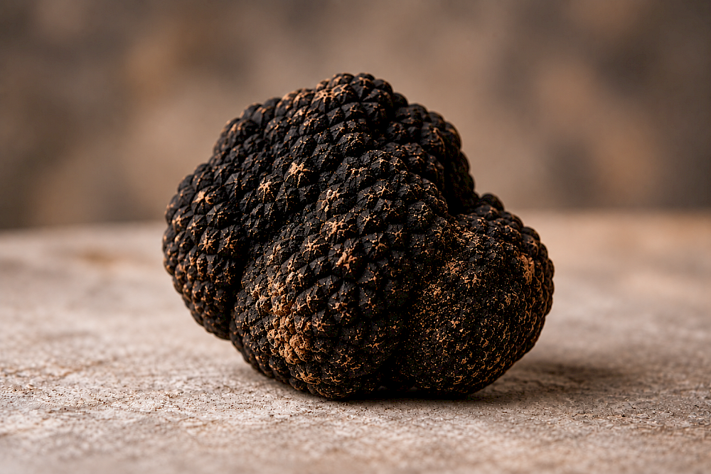 Truffe d’été du Valais 71 g