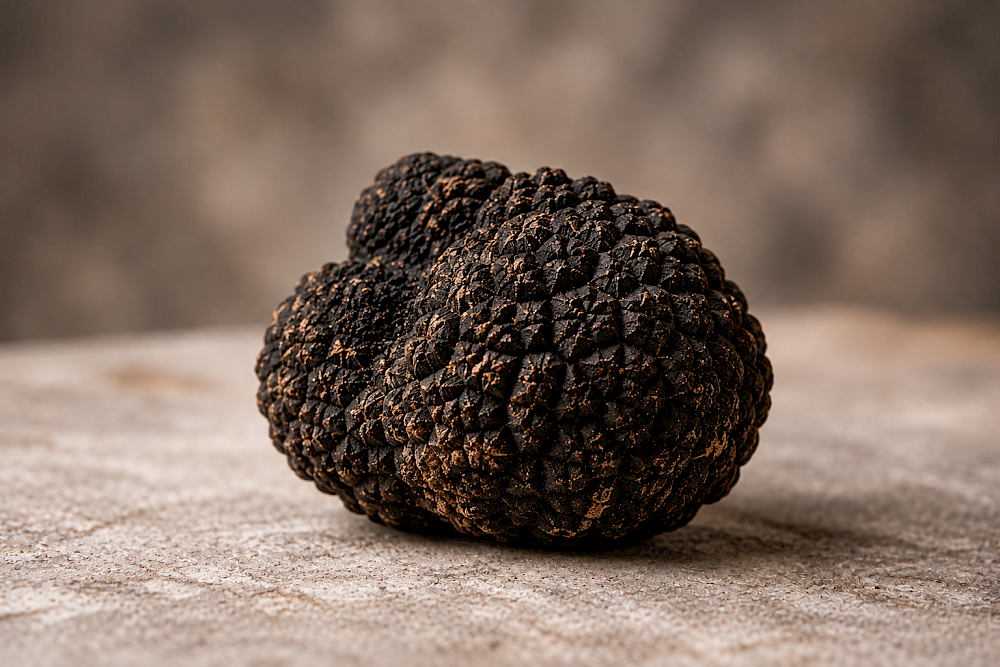 Truffe noire du Valais 64 g