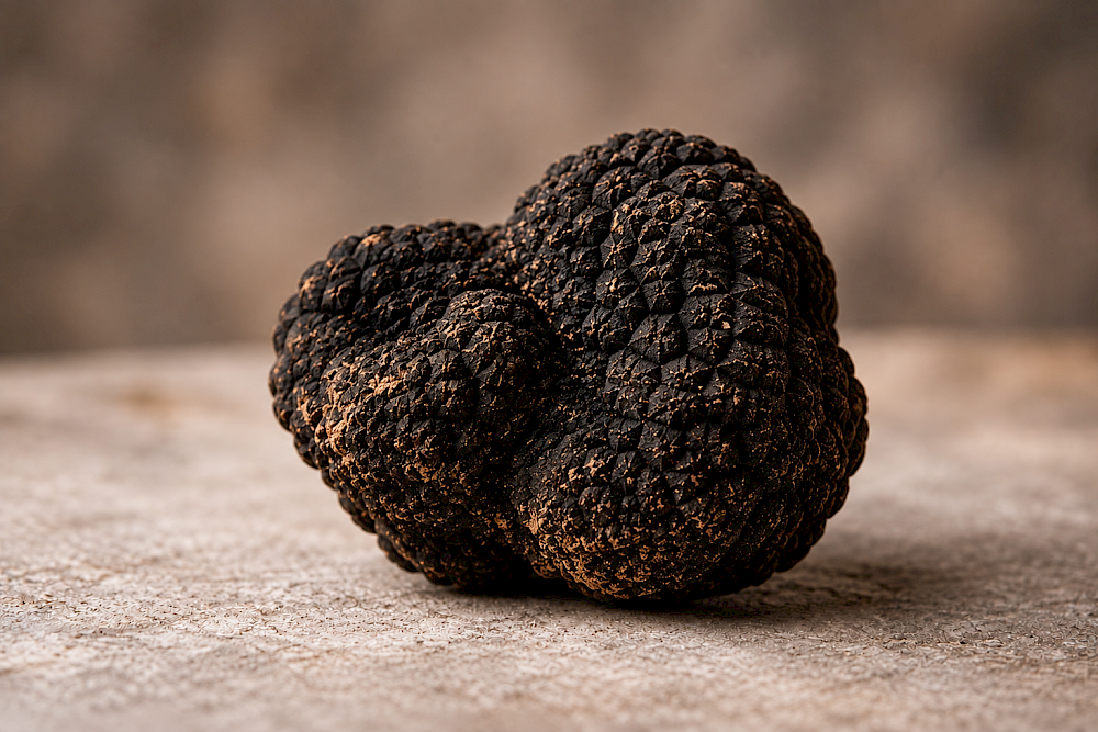 Truffe d’automne du Valais 23 g